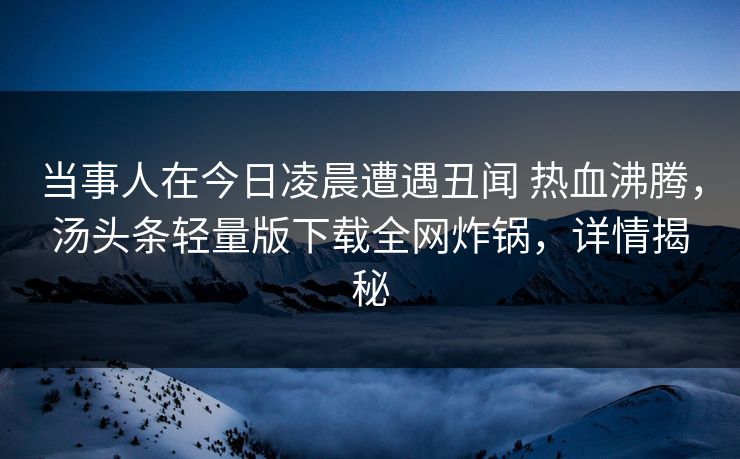 当事人在今日凌晨遭遇丑闻 热血沸腾，汤头条轻量版下载全网炸锅，详情揭秘